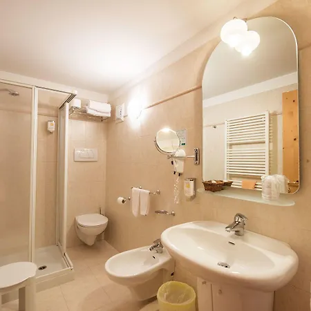 Hotel Alpino Al Cavalletto 3*