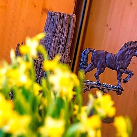 Alpino Al Cavalletto Szálloda 3*