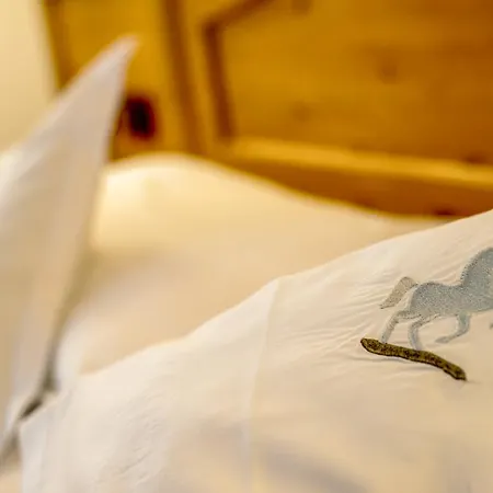 Hotel Alpino Al Cavalletto Canazei