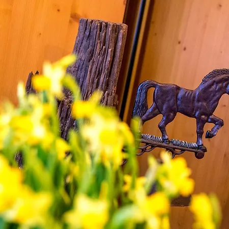 Hotel Alpino Al Cavalletto 3*