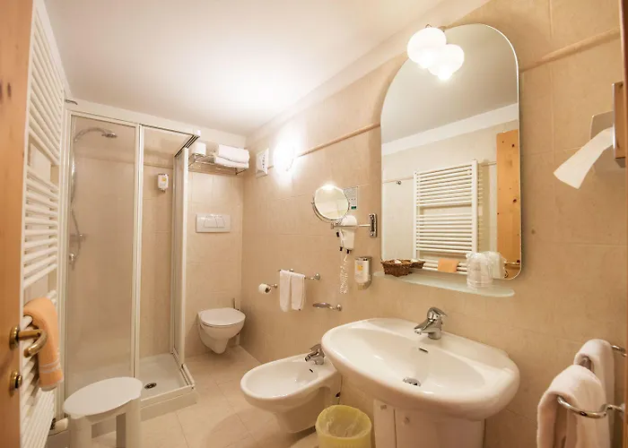 Hotel Alpino Al Cavalletto 3*